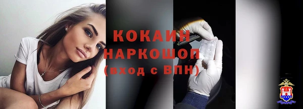 винт Богданович