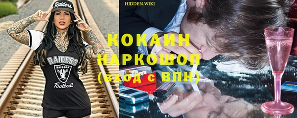 твердый Бородино