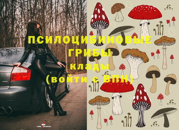 бошки Армянск