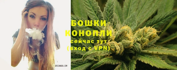 бошки Армянск